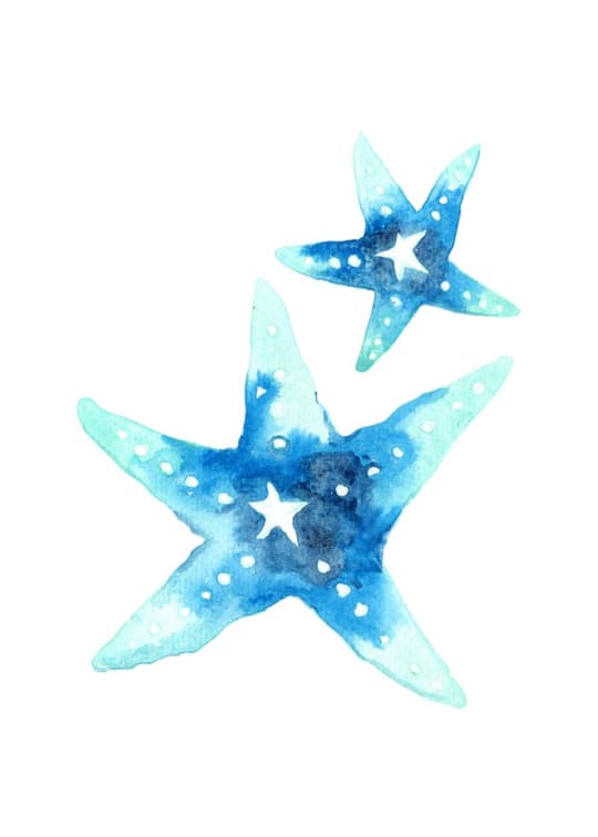 Blue Starfish Duo