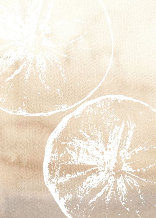 Jellyfish Blooms