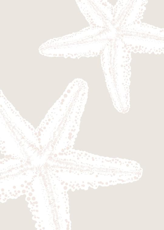Starfish Study