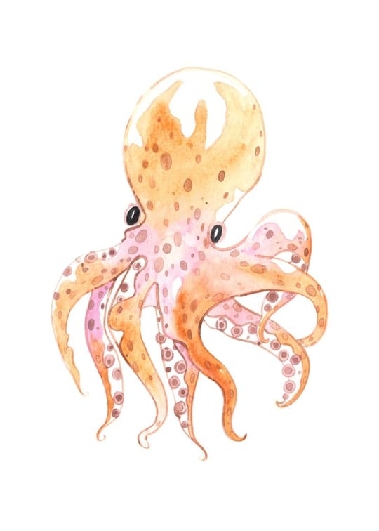 Golden Octopus