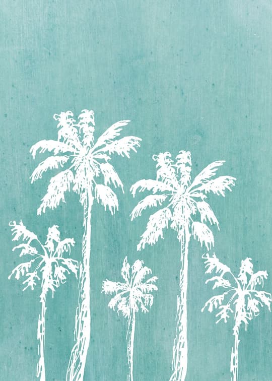 Tropical Palms