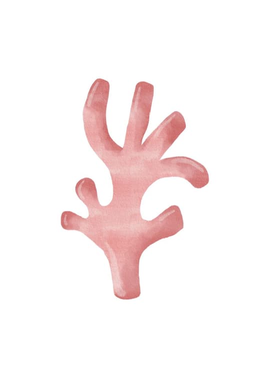 Pink Coral Branch