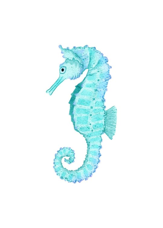 Turquoise Seahorse