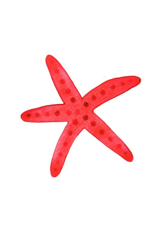Crimson Starfish