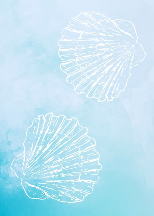Seashell Duo