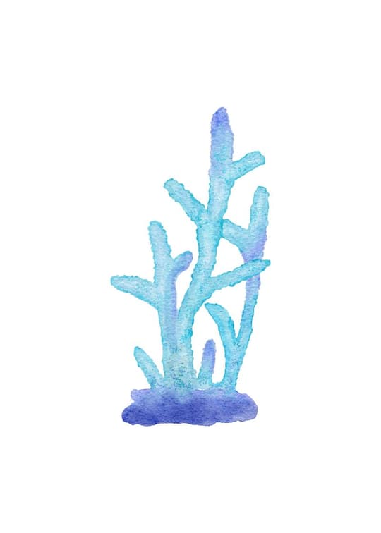 Watercolor Coral