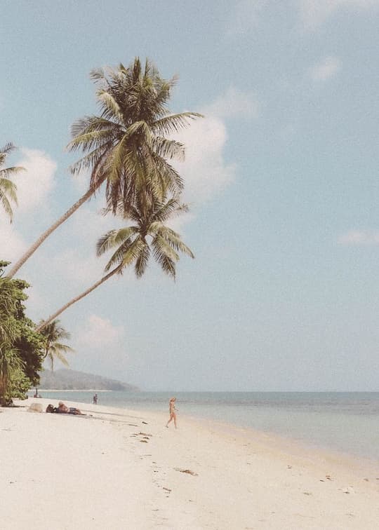 Tropical Beach Paradise