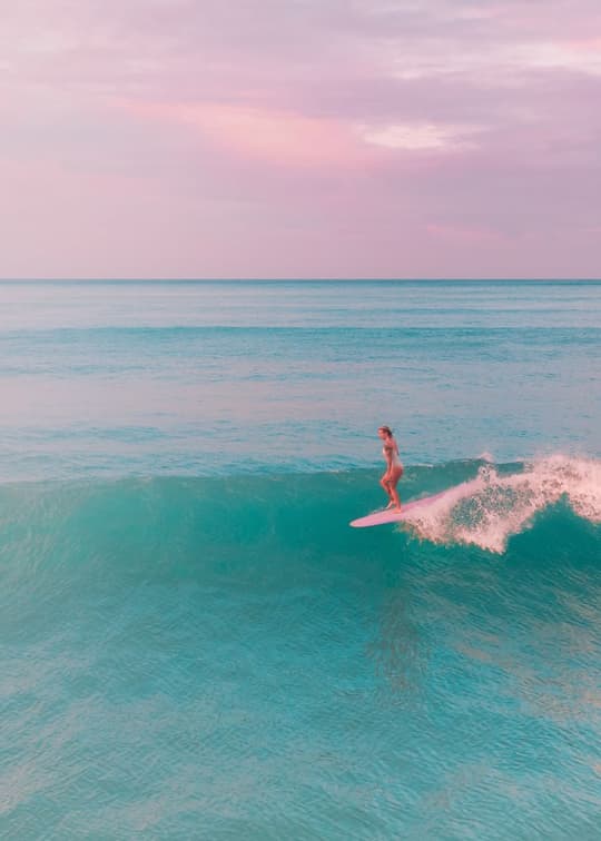 Sunset Surfer