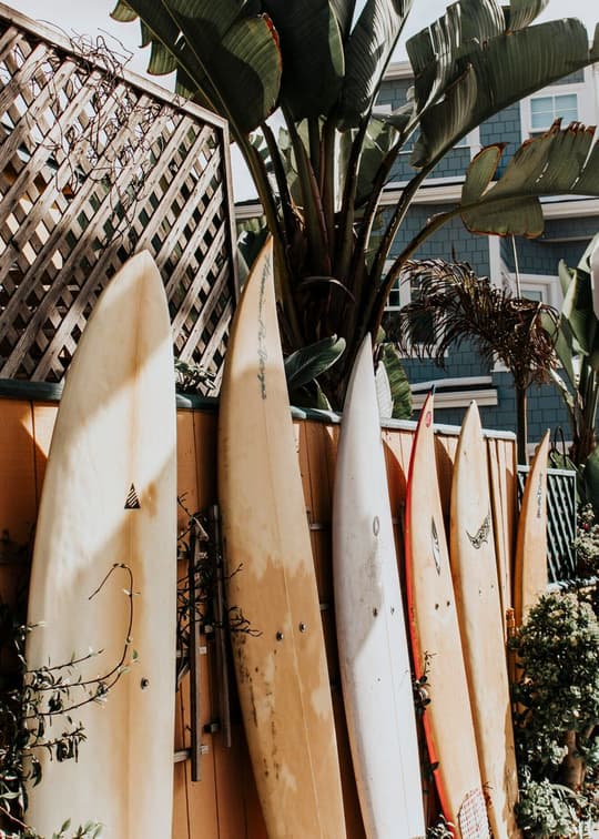 Urban Surf Paradise