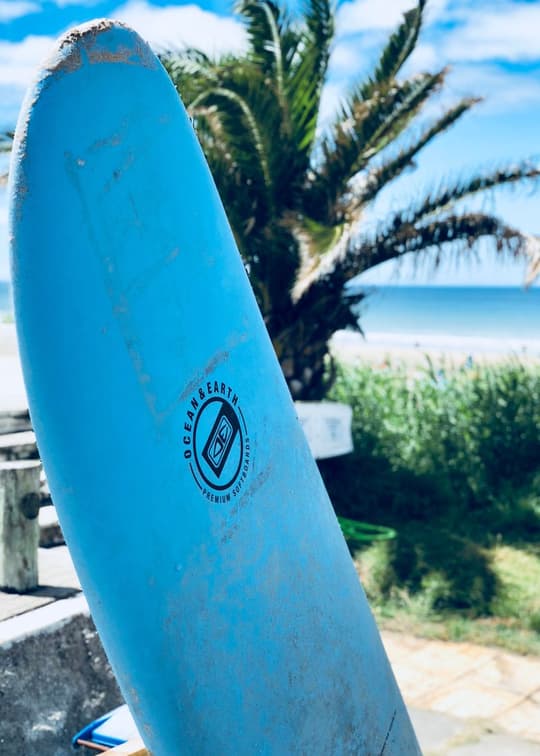 Beach Surfboard & Palms