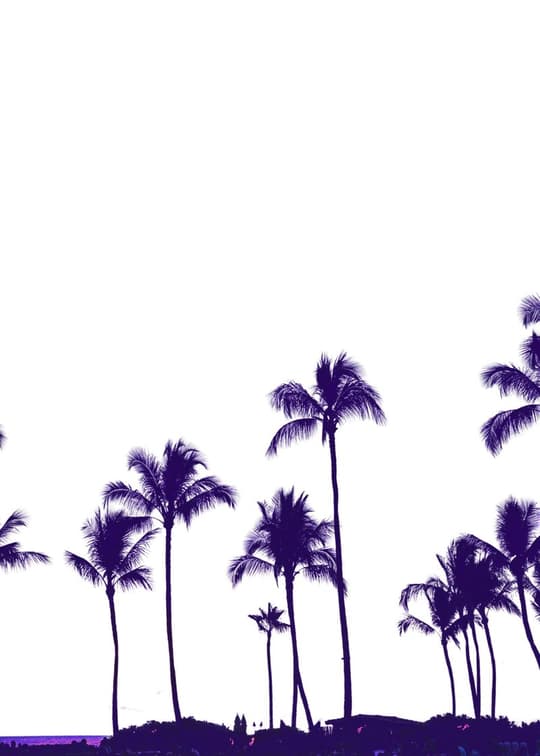 Twilight Palms