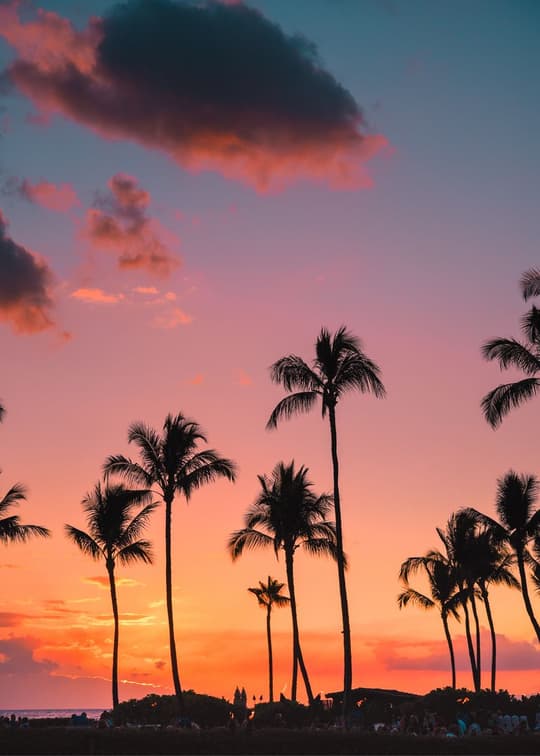 Tropical Sunset Paradise