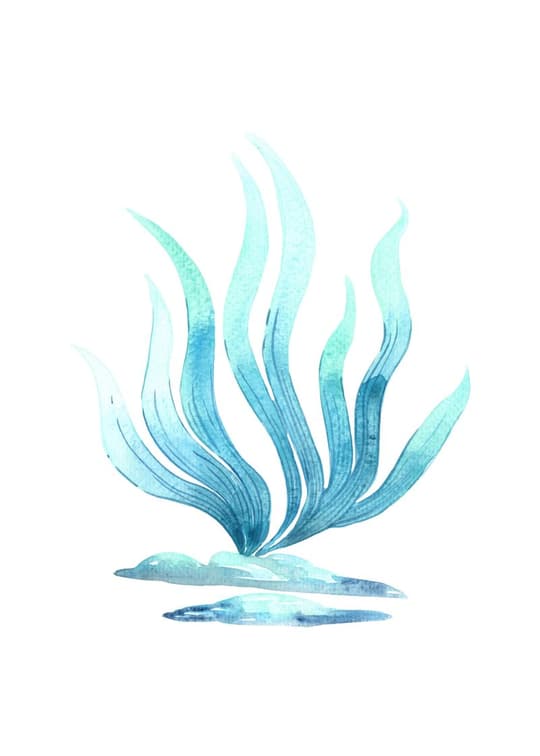 Abstract Underwater Plant