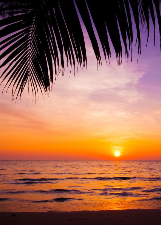 Tropical Sunset Paradise