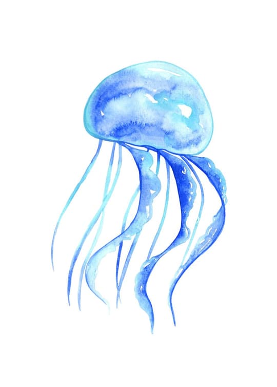 Blue Jellyfish