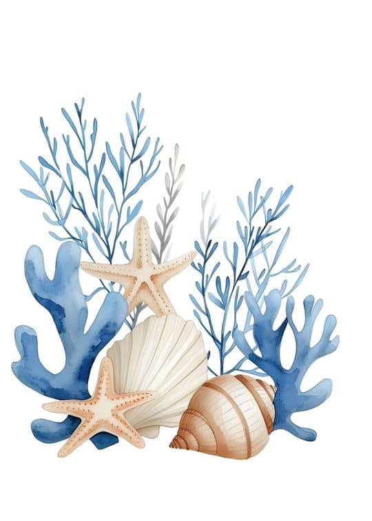 Coastal Seascape with Shells