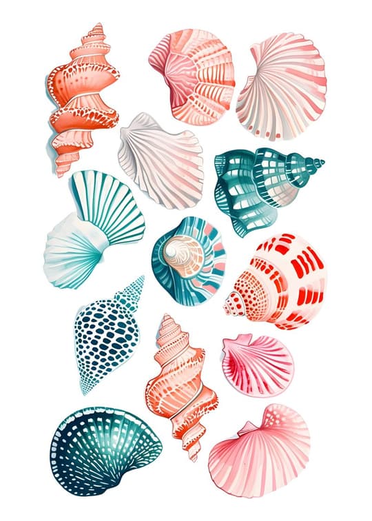 Coral & Teal Seashells Collection
