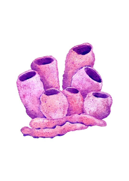 Pink Mineral Formations