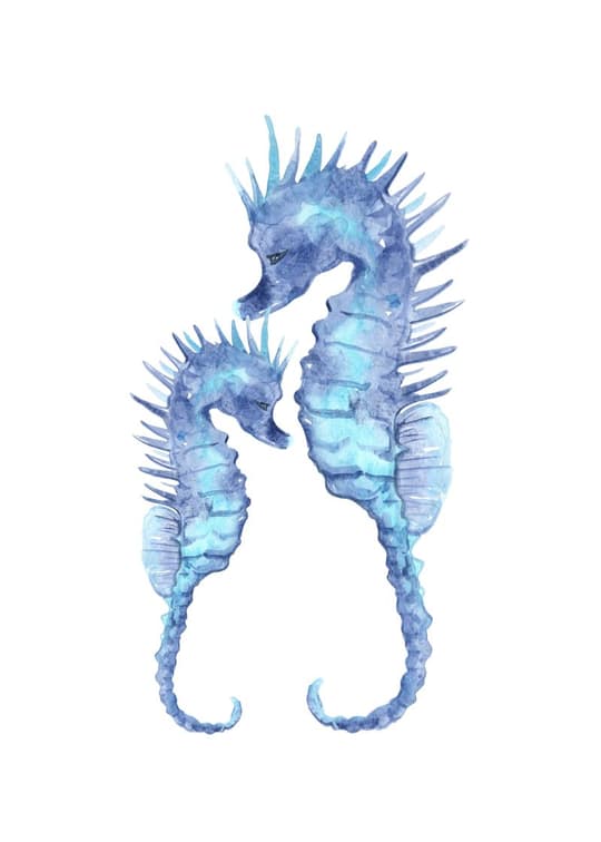 Blue Seahorse Pair