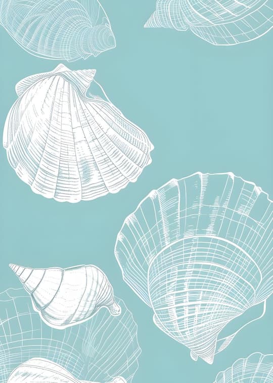 Seashell Study