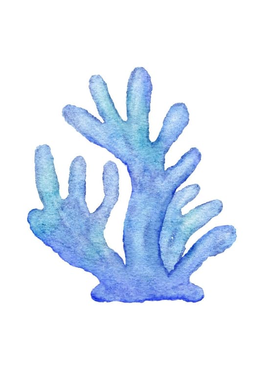 Blue Sea Coral
