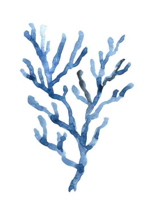 Blue Sea Coral