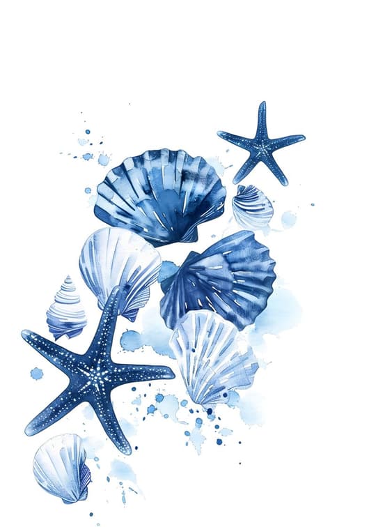 Coastal Shells & Starfish