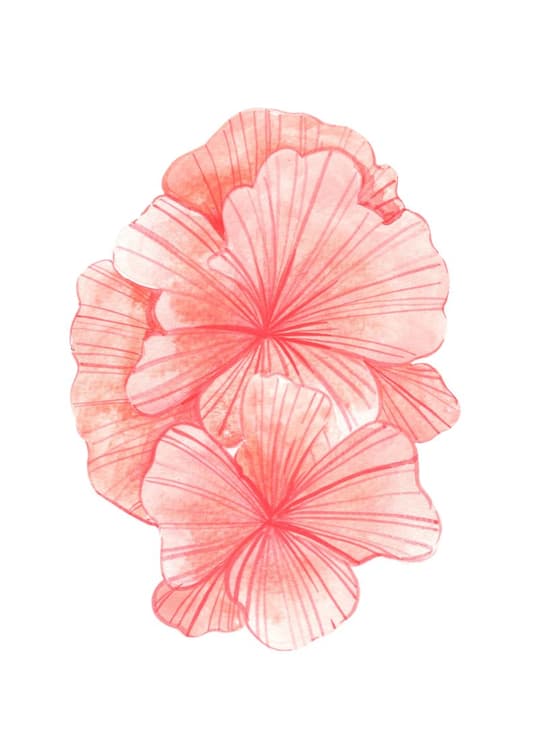Floral Mind
