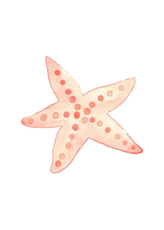 Pink Starfish