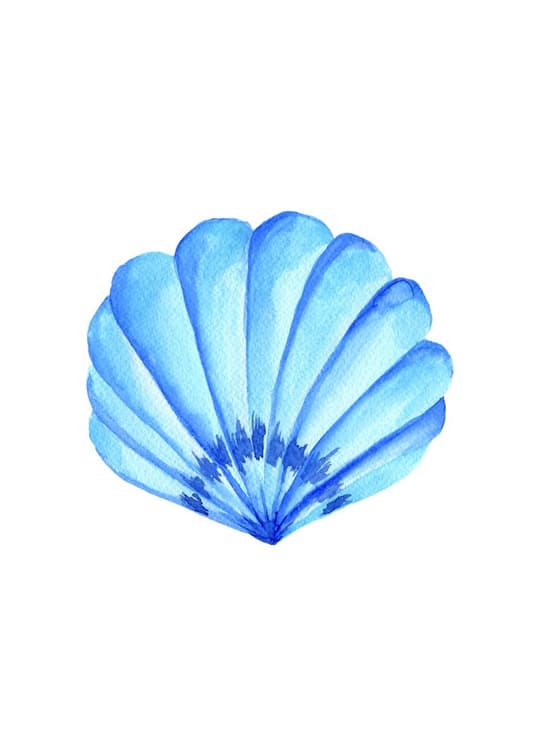 Blue Shell