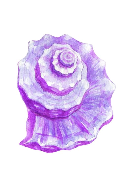 Purple Rose Watercolor
