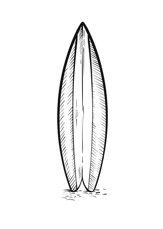 Surfboard Study