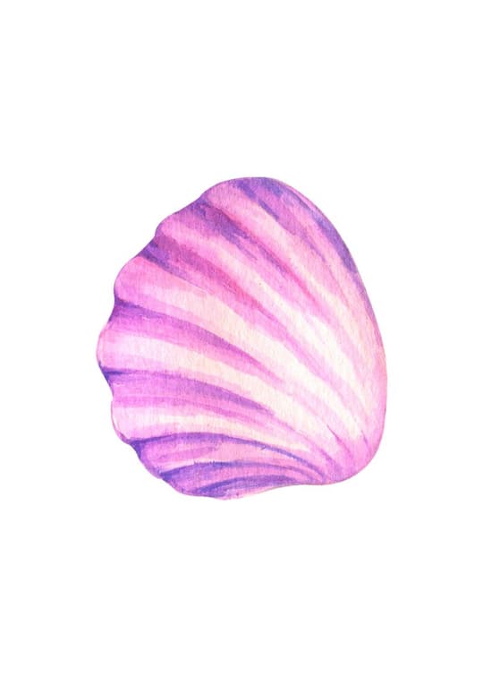 Purple Shell
