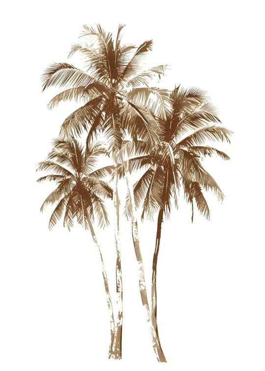 Tropical Palm Grove