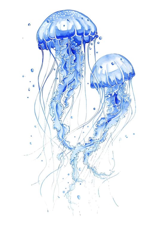 Jellyfish Dance