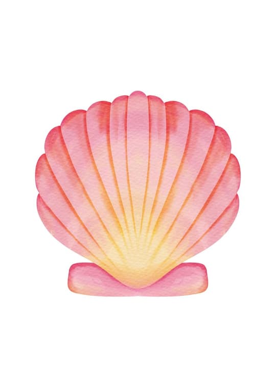 Pink Shell Gradient