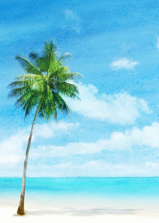 Tropical Paradise