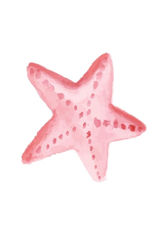 Pink Starfish