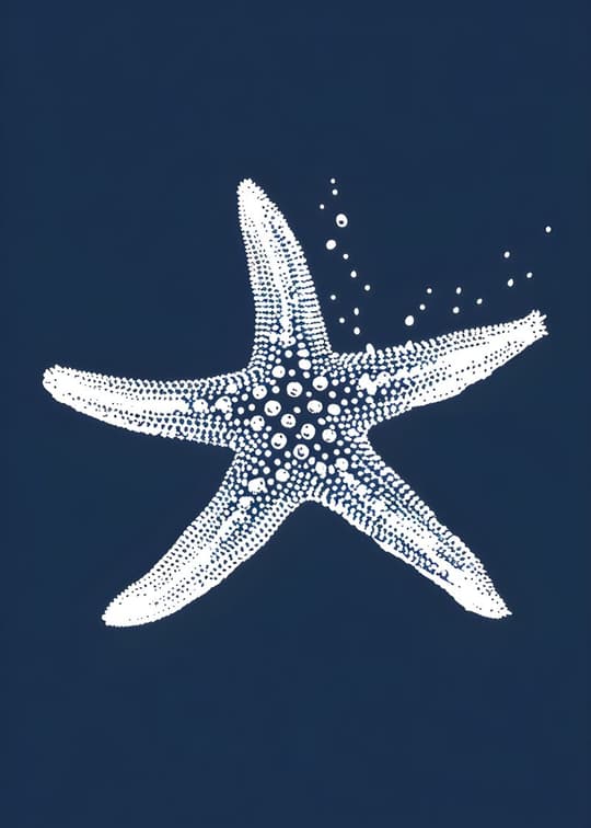 Starfish Study