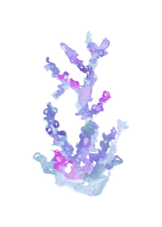 Watercolor Coral Form