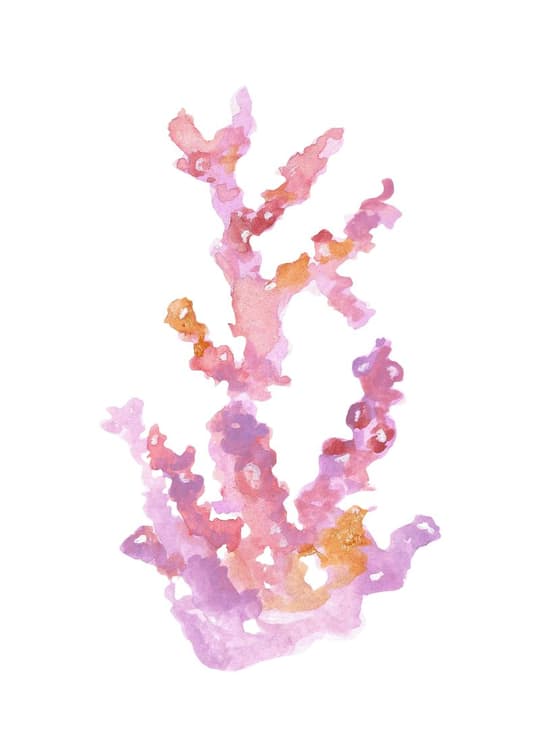 Coral Reef Watercolor