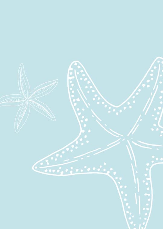 Starfish Treasures