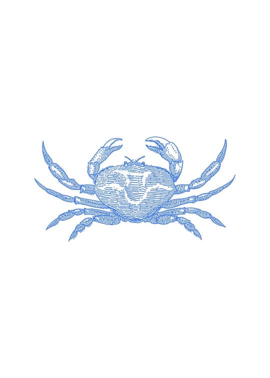 Blue Crab Engraving