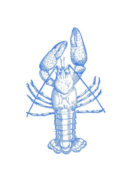 Blue Lobster Study