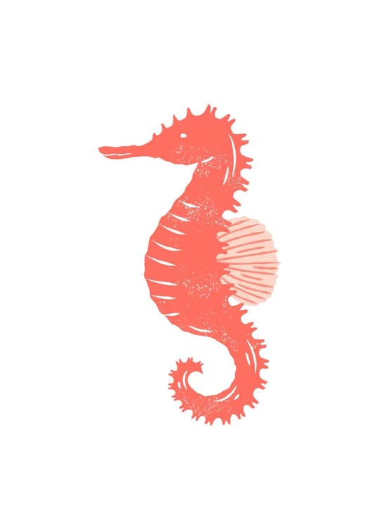 Coral Seahorse