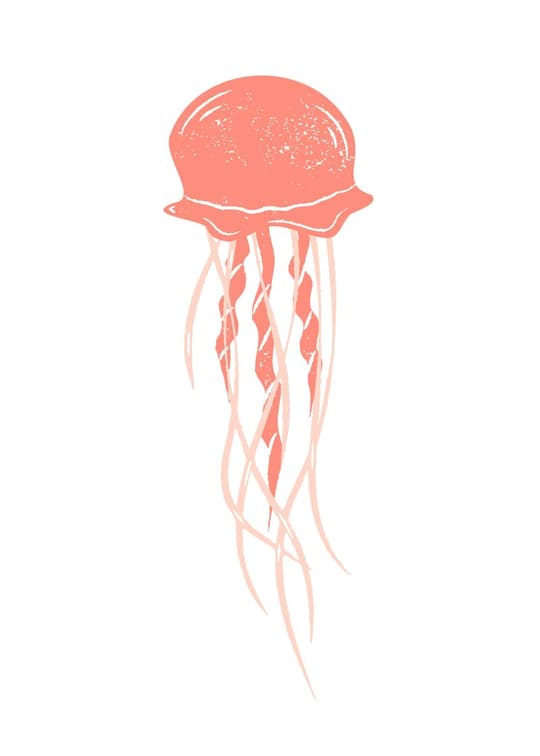 Coral Jellyfish
