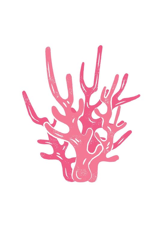 Pink Coral Branch