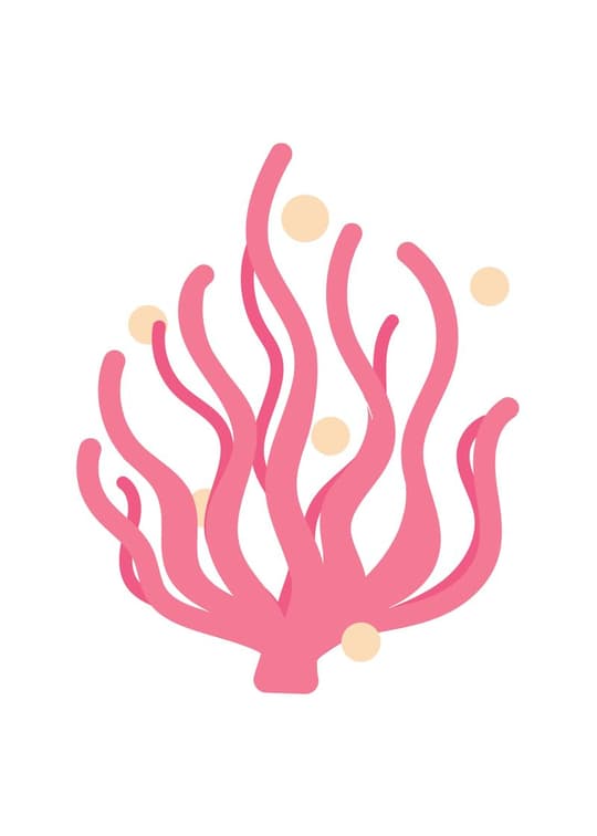 Pink Coral with Pearls