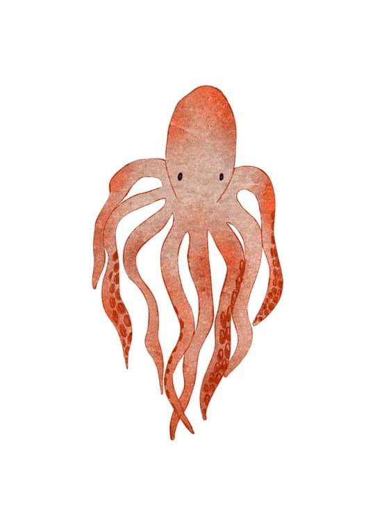 Gentle Octopus