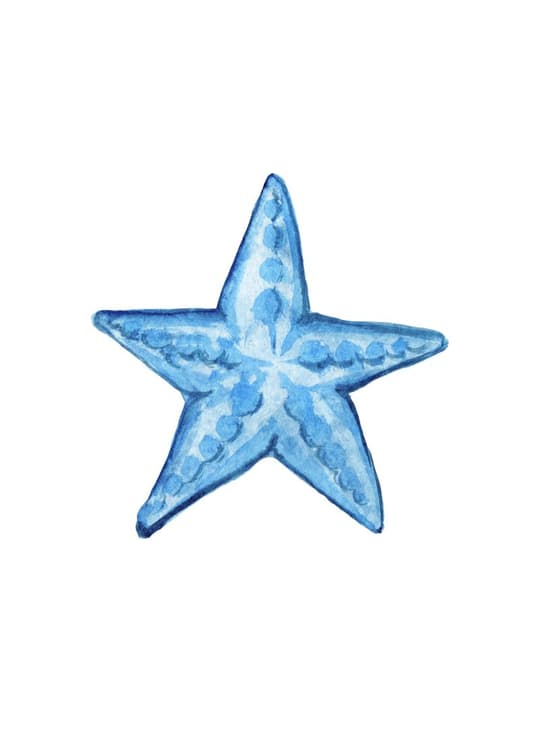 Blue Starfish